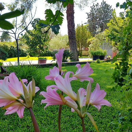 B&B Welcome Pedara Buitenkant foto