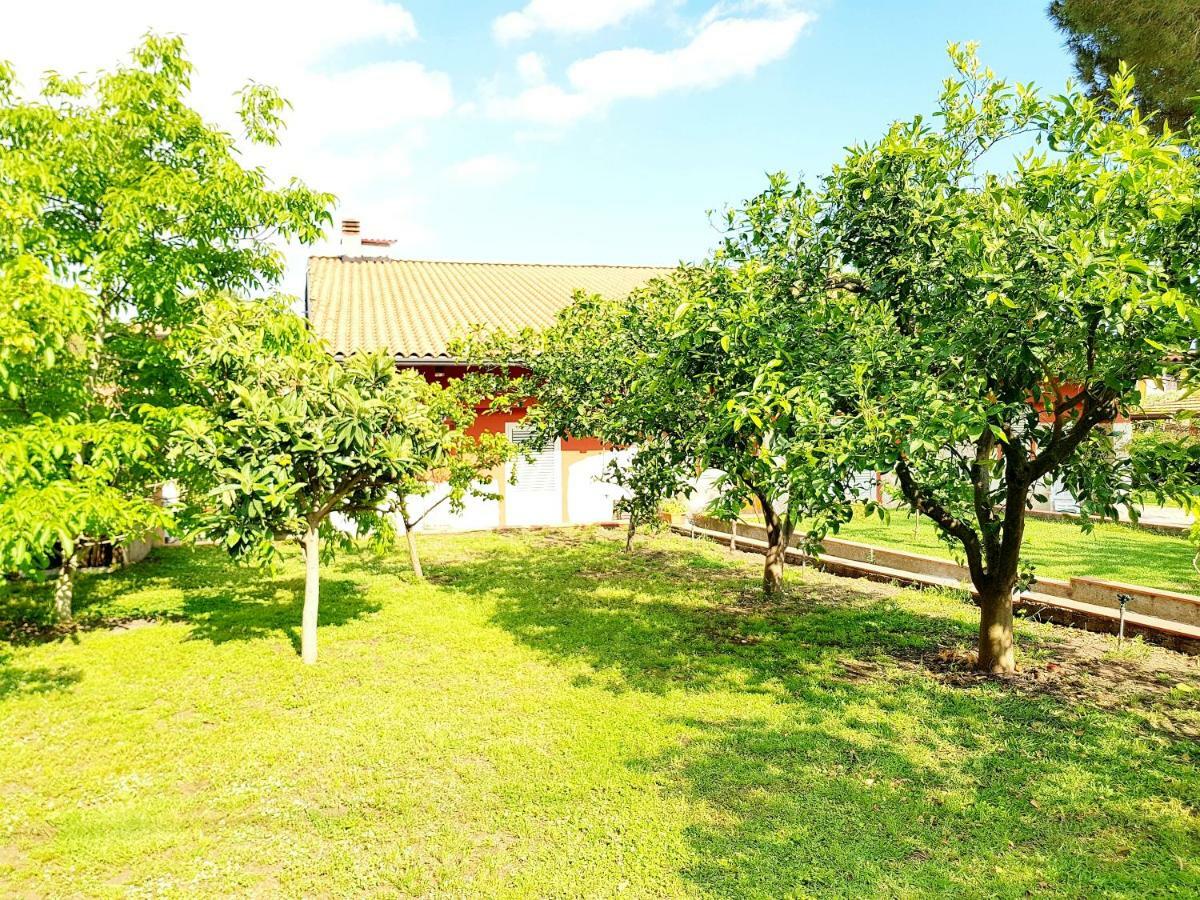 B&B Welcome Pedara Buitenkant foto
