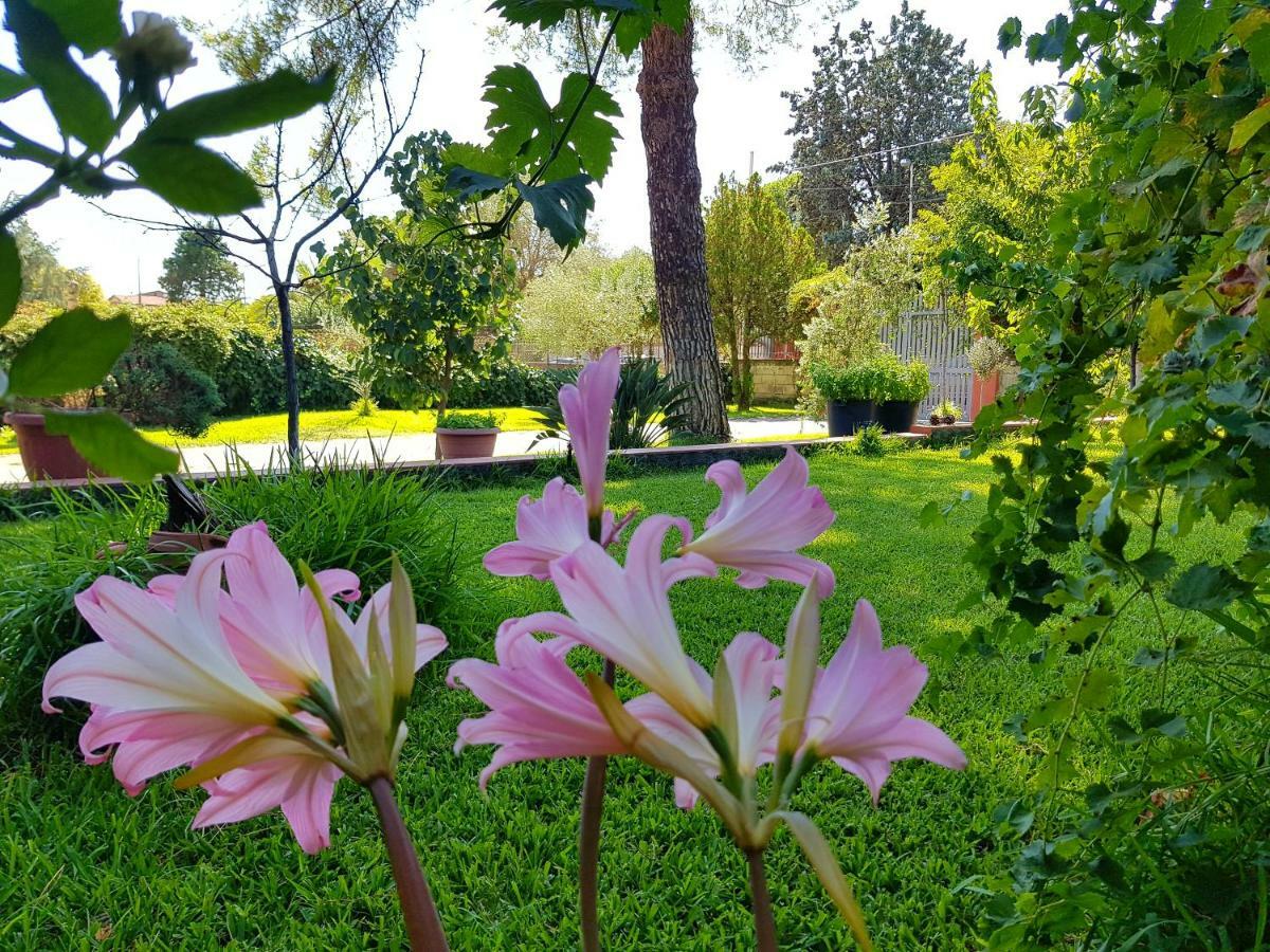 B&B Welcome Pedara Buitenkant foto